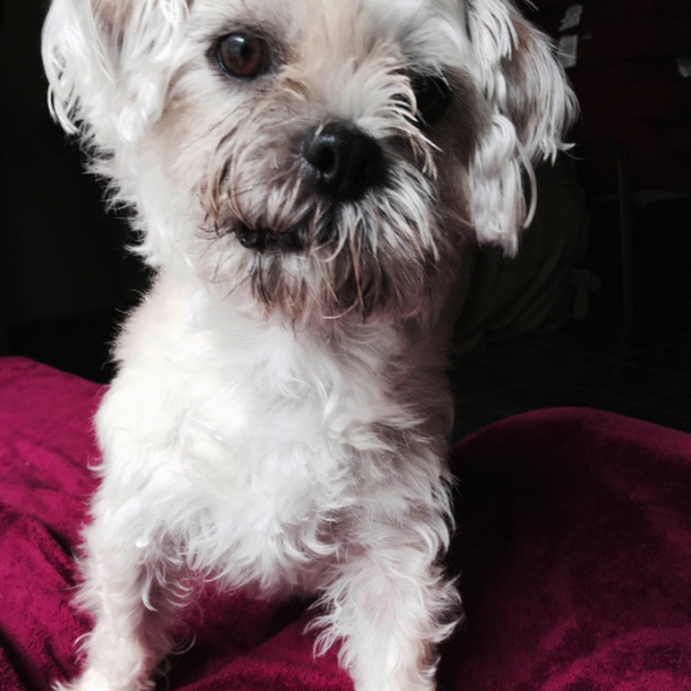 Meet your Posher, Catherine